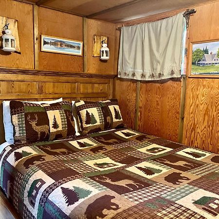 Mt Rainier Little Green Cabin On Big Creek! Ashford Bagian luar foto