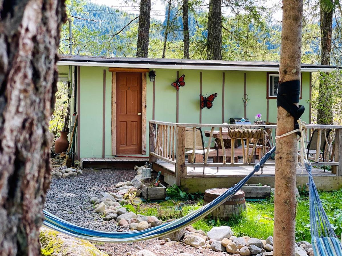 Mt Rainier Little Green Cabin On Big Creek! Ashford Bagian luar foto