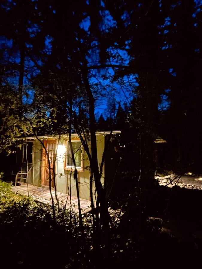 Mt Rainier Little Green Cabin On Big Creek! Ashford Bagian luar foto