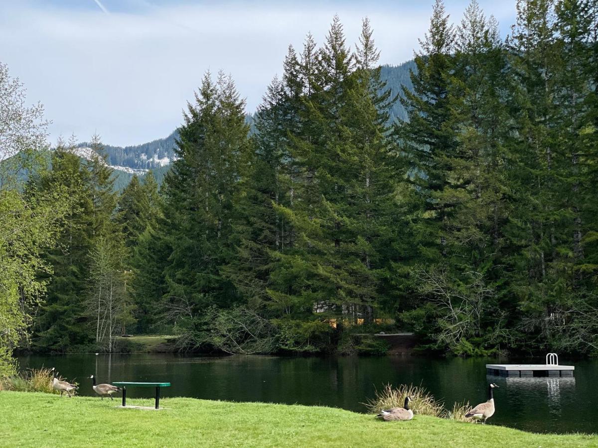 Mt Rainier Little Green Cabin On Big Creek! Ashford Bagian luar foto
