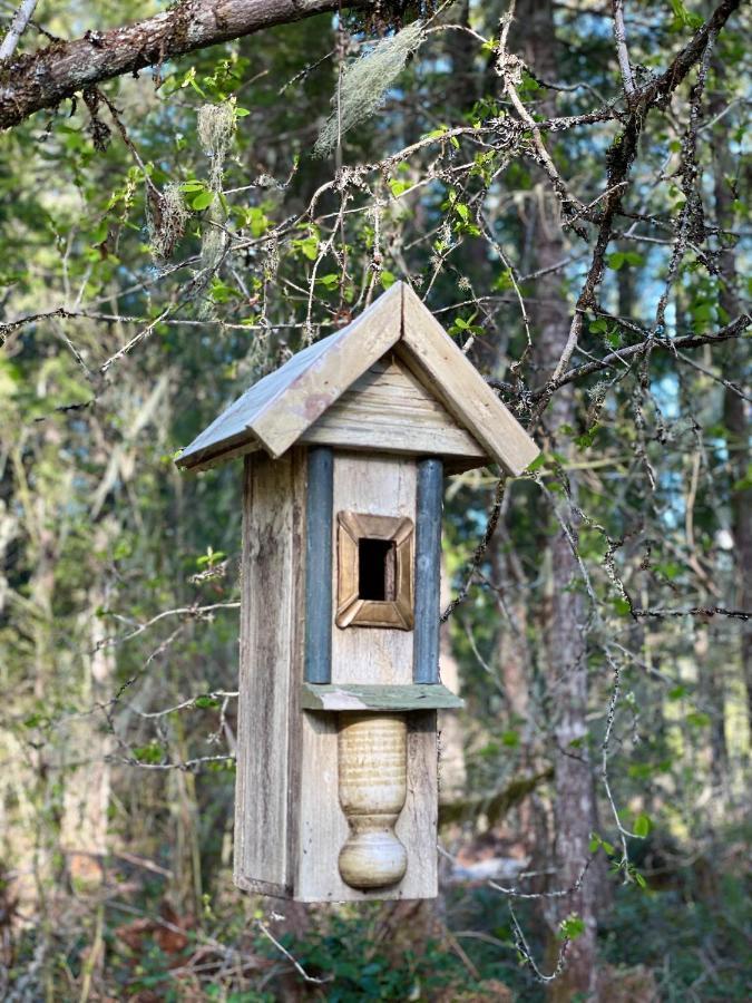 Mt Rainier Little Green Cabin On Big Creek! Ashford Bagian luar foto