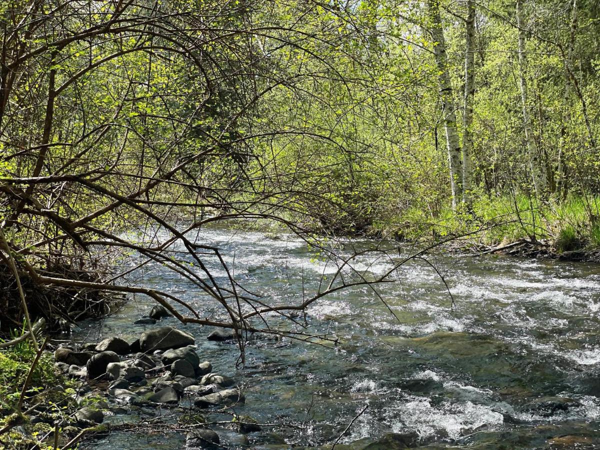 Mt Rainier Little Green Cabin On Big Creek! Ashford Bagian luar foto
