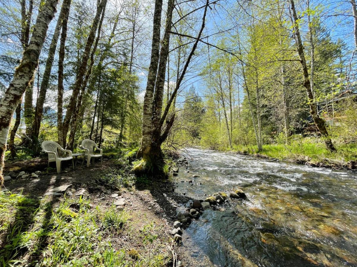 Mt Rainier Little Green Cabin On Big Creek! Ashford Bagian luar foto