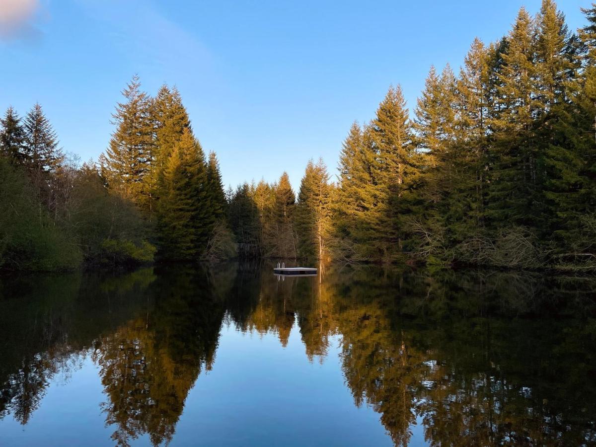 Mt Rainier Little Green Cabin On Big Creek! Ashford Bagian luar foto