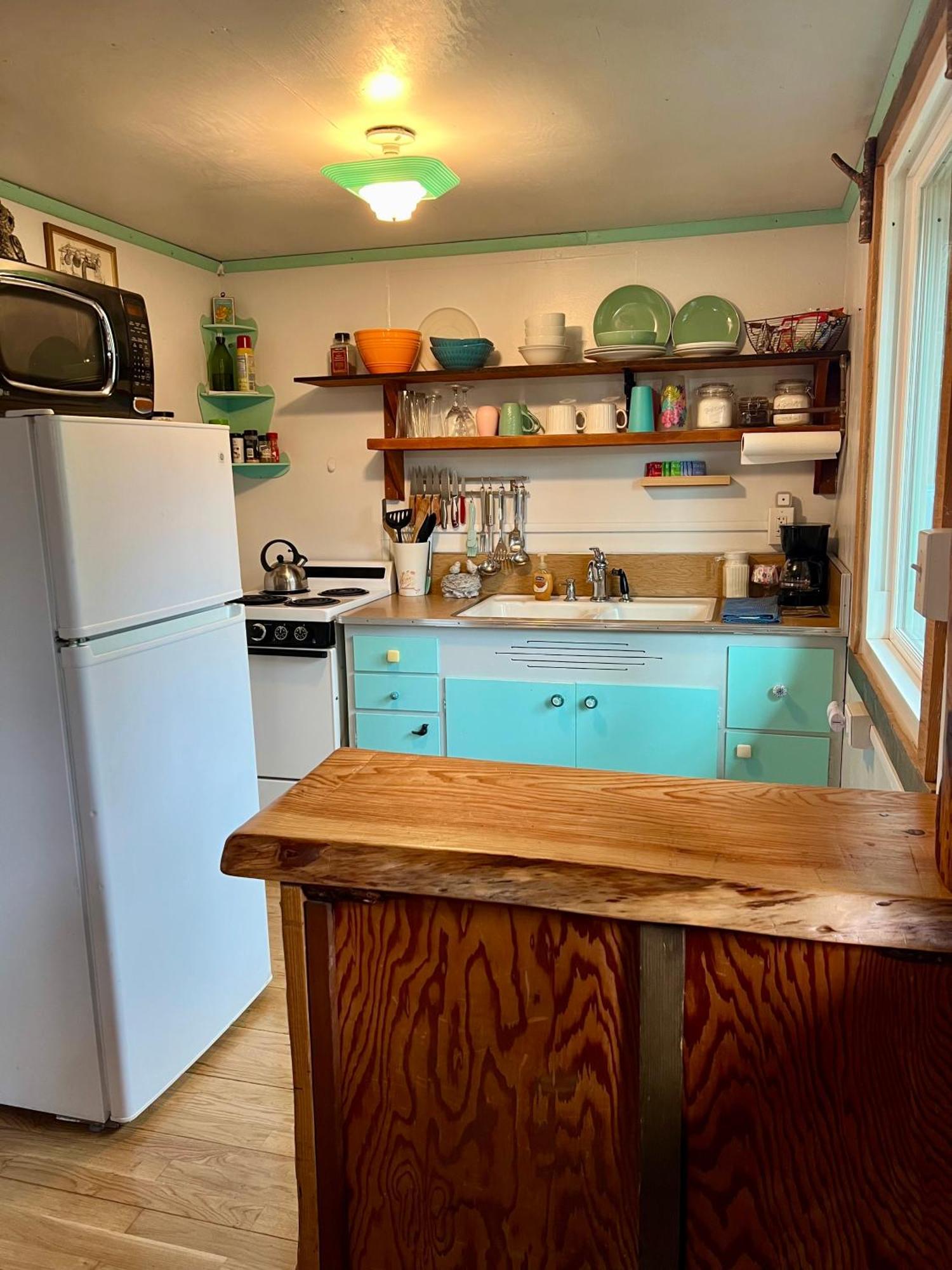 Mt Rainier Little Green Cabin On Big Creek! Ashford Bagian luar foto