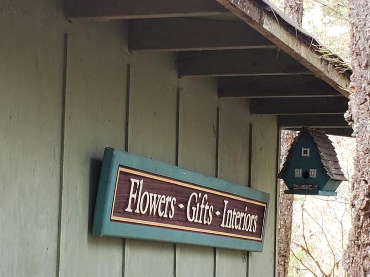 Mt Rainier Little Green Cabin On Big Creek! Ashford Bagian luar foto